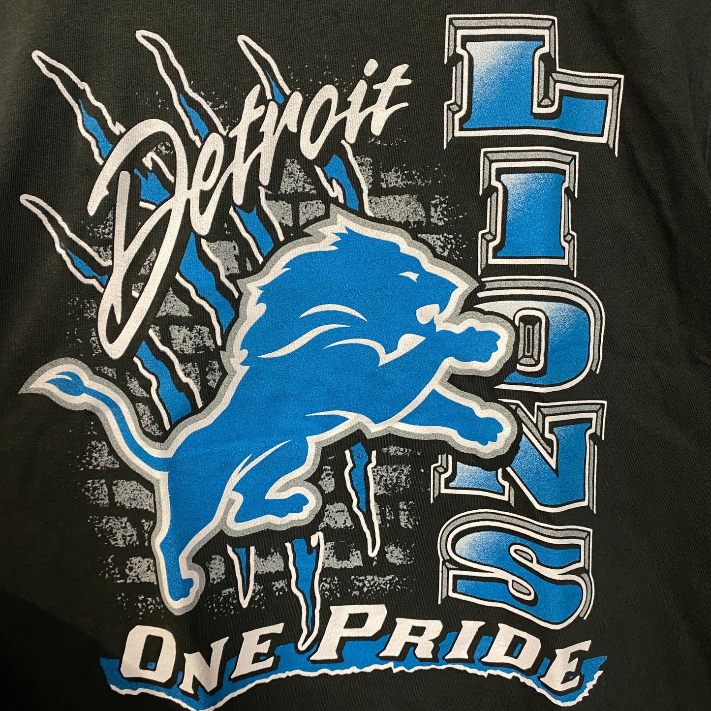 Junk Food Clothing Women's Detroit Lions One Pride Vintage Tee Large