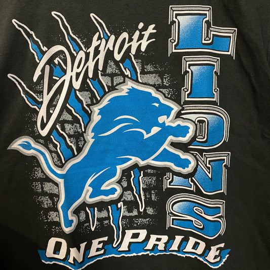 Junk Food Clothing Women's Detroit Lions One Pride Vintage Tee Large