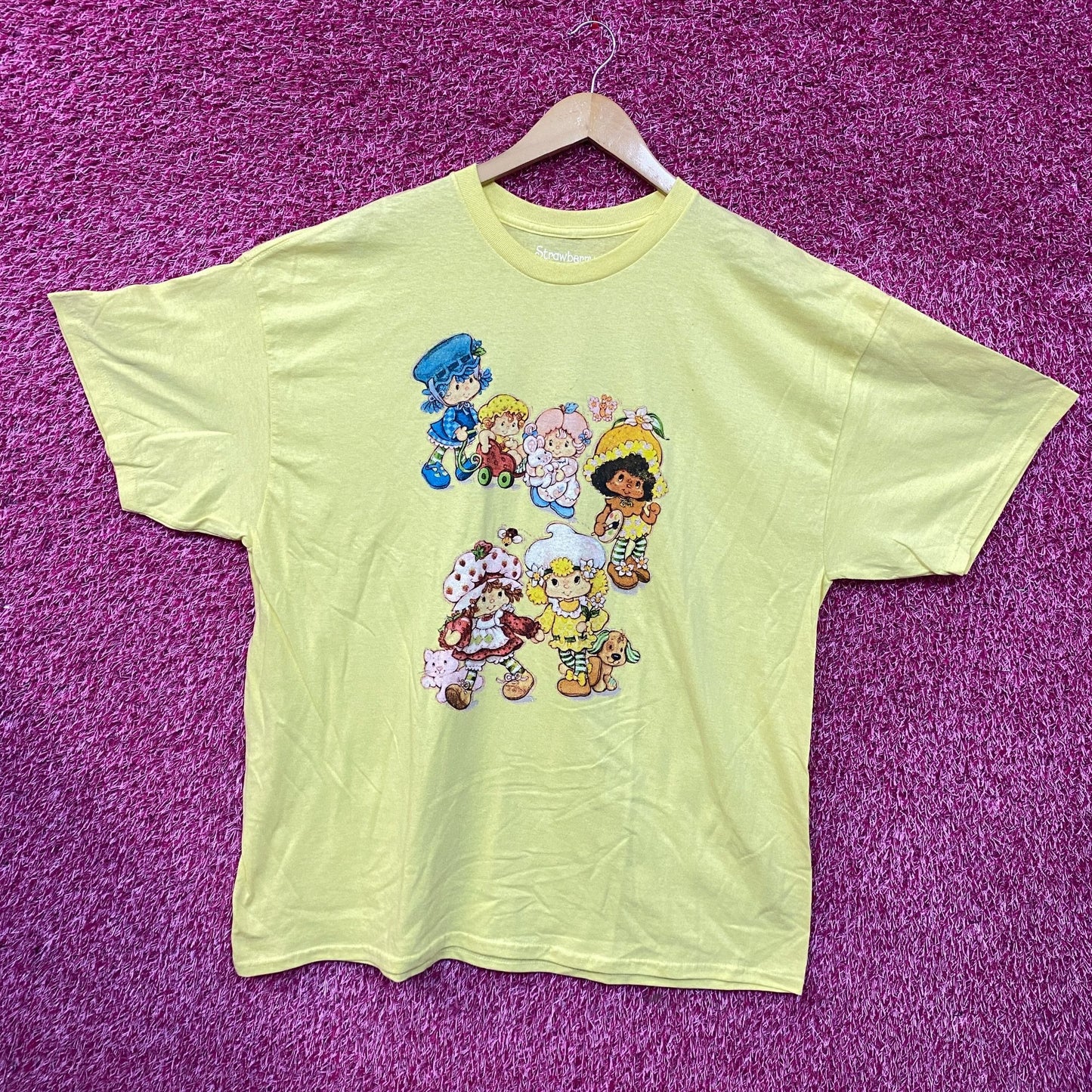 Strawberry Shortcake Sweet Walk Friends Graphic T-Shirt 2XL
