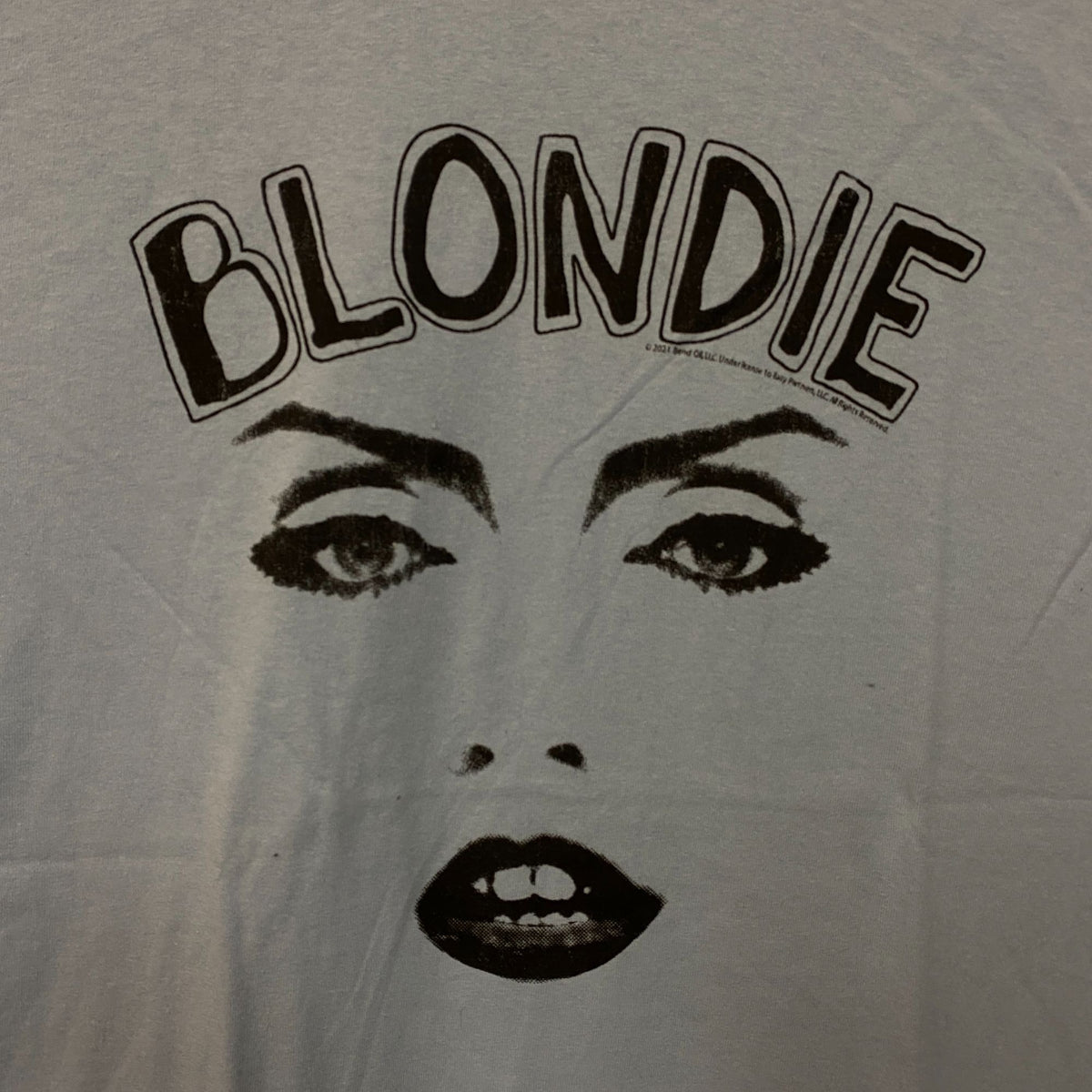 Blondie Parallel Lines Debbie Harry Face T-shirt Baby Blue 2X