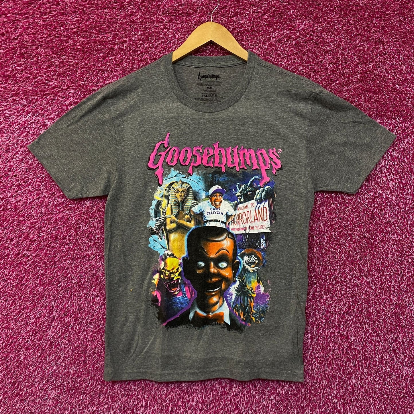 Goosebumps gray Tshirt size medium