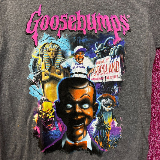 Goosebumps gray Tshirt size medium