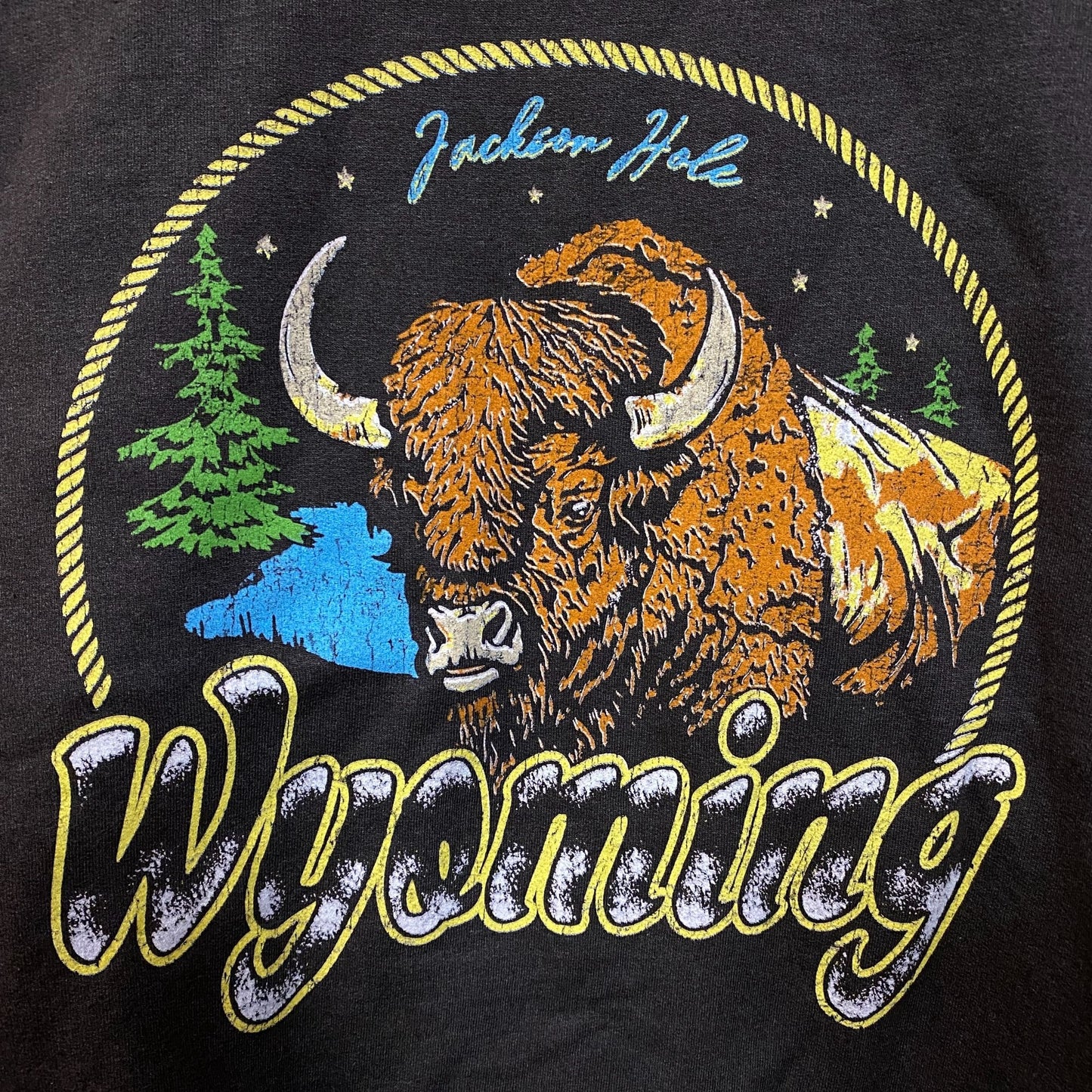 Junk Food Clothing Wyoming Bison Graphic Crewneck Sweatshirt XS