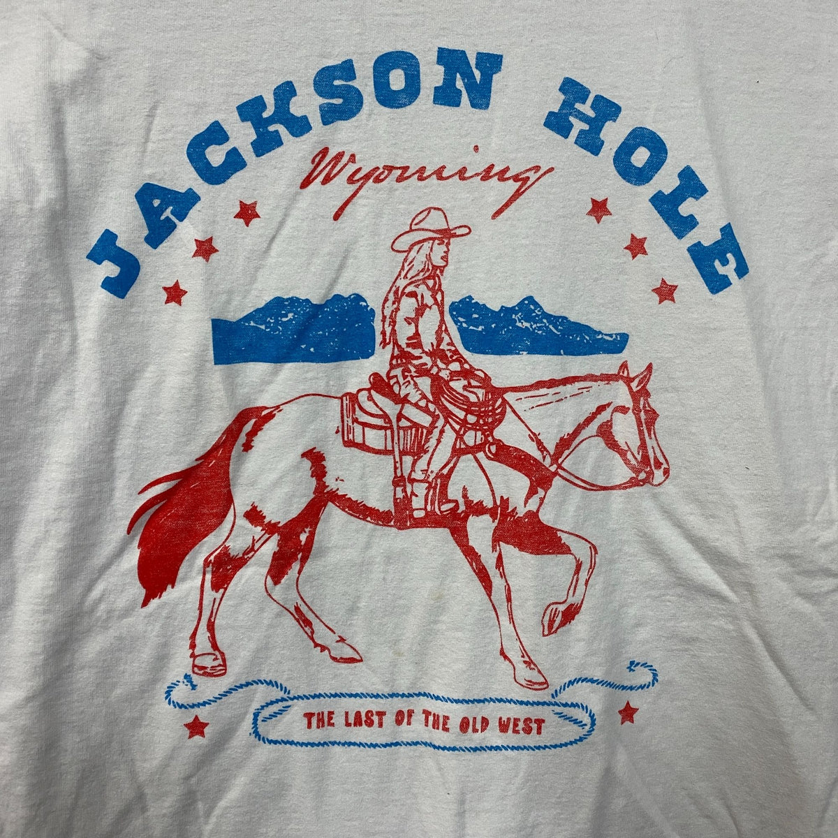 Junk Food Clothing Western Style Jackson Hole Old west Tee size XL