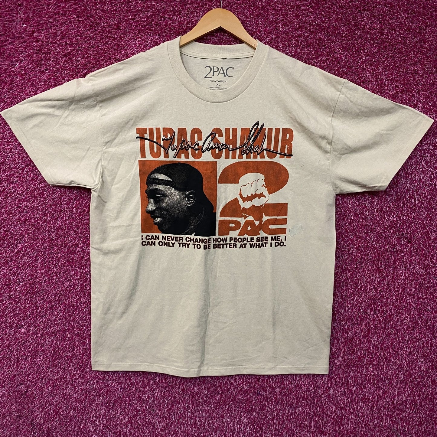 Tupac Never Change Heavyweight Graphic T-Shirt XL