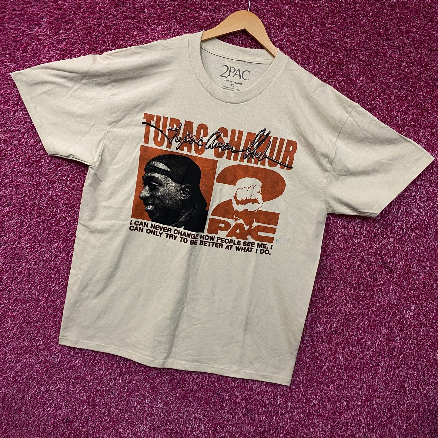Tupac Never Change Heavyweight Graphic T-Shirt XL