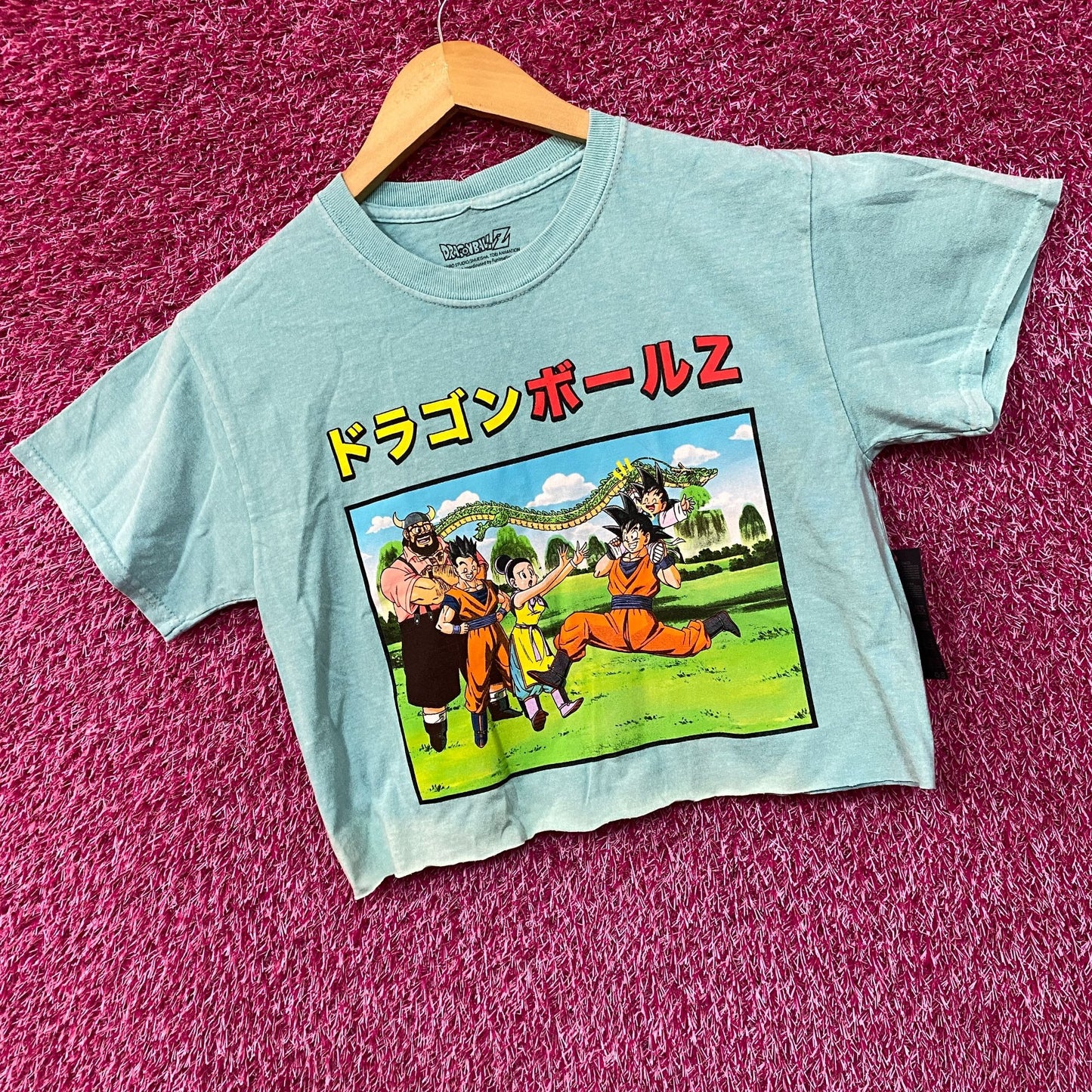 Dragon Ball Z Goku Family Graphic Design  Anime Crop Top Small