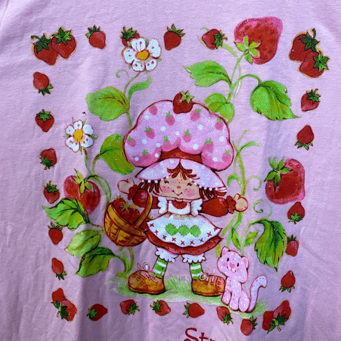 Strawberry Shortcake Berry Frame Graphic T-Shirt XL