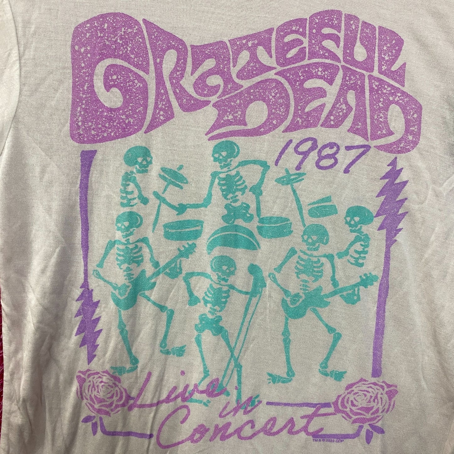 Grateful Dead Live In Concert Vintage Style Tissue T-Shirt Extra Extra Small
