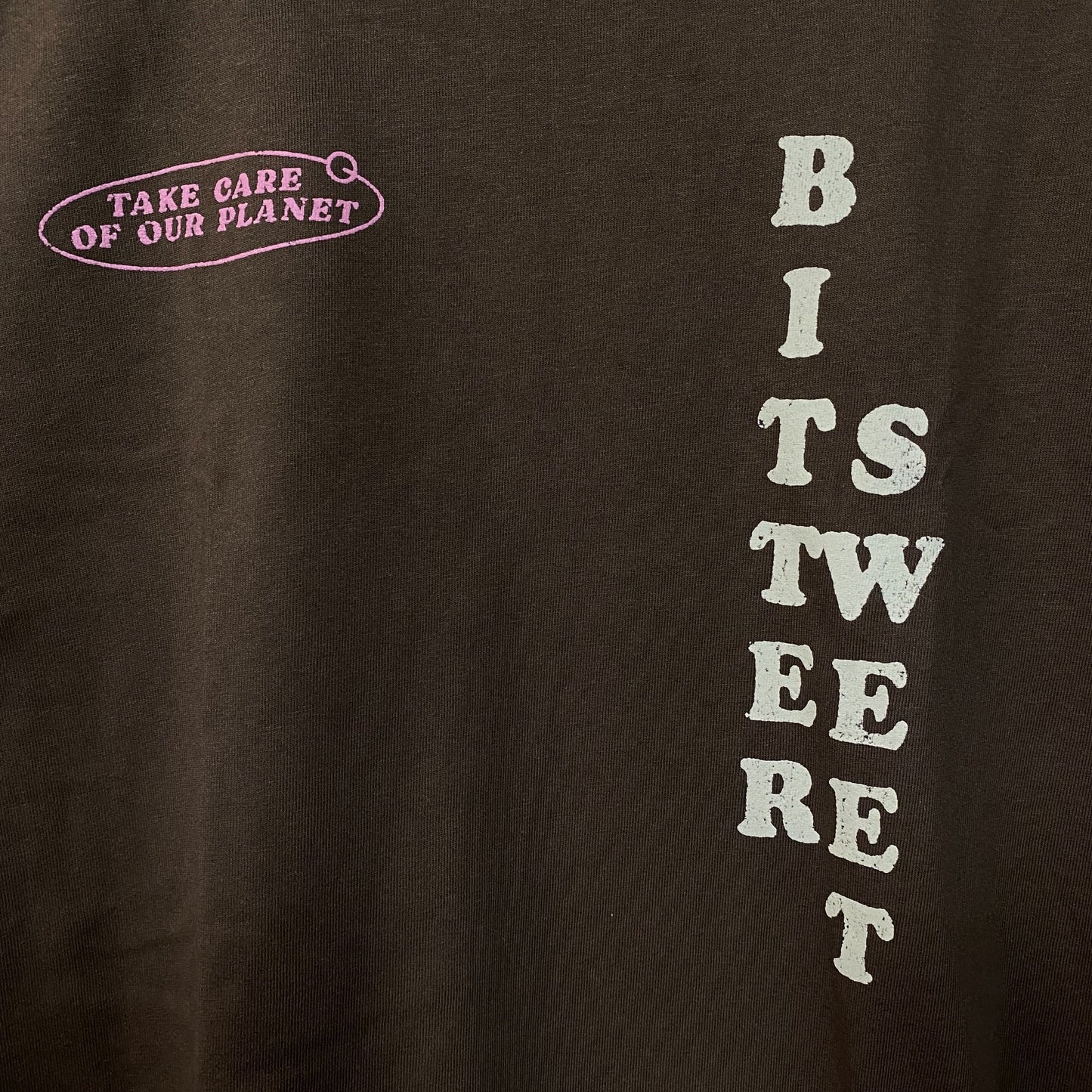 Bittersweet Take Care Of Our Planet Oversized Graphic T-Shirt Small