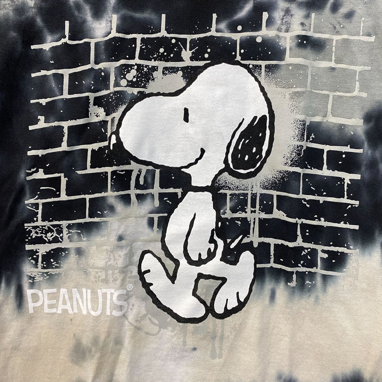 Peanuts Snoopy Wall Tie Dye T-Shirt Small