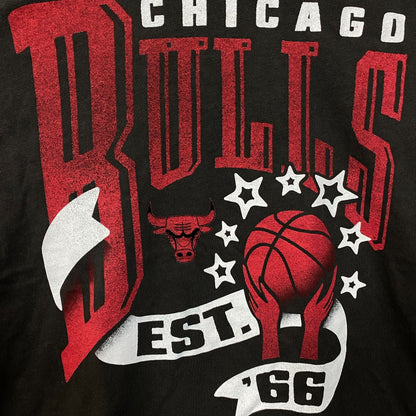 Junk Food NBA Chicago Bulls EST. '66 Women's Graphic T-Shirt Small