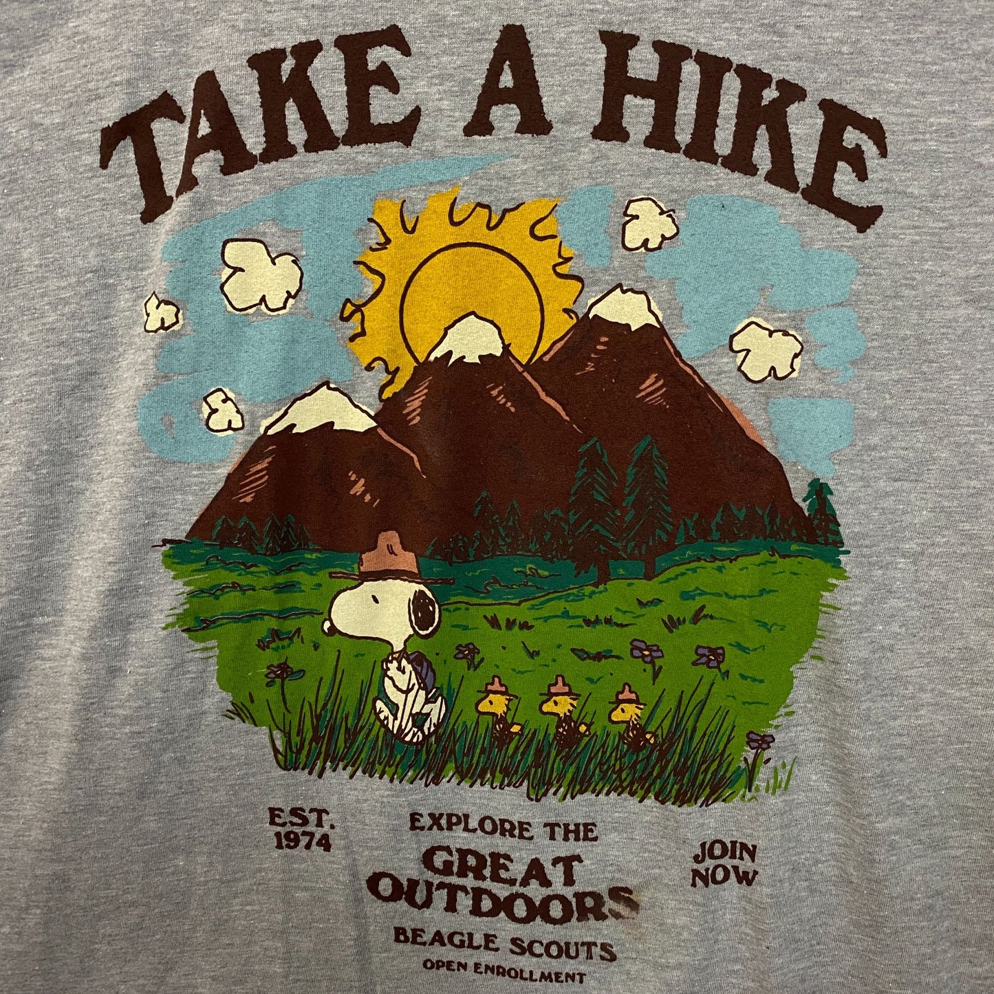 Peanuts Snoopy Take A Hike Beagle Scouts T-Shirt Large