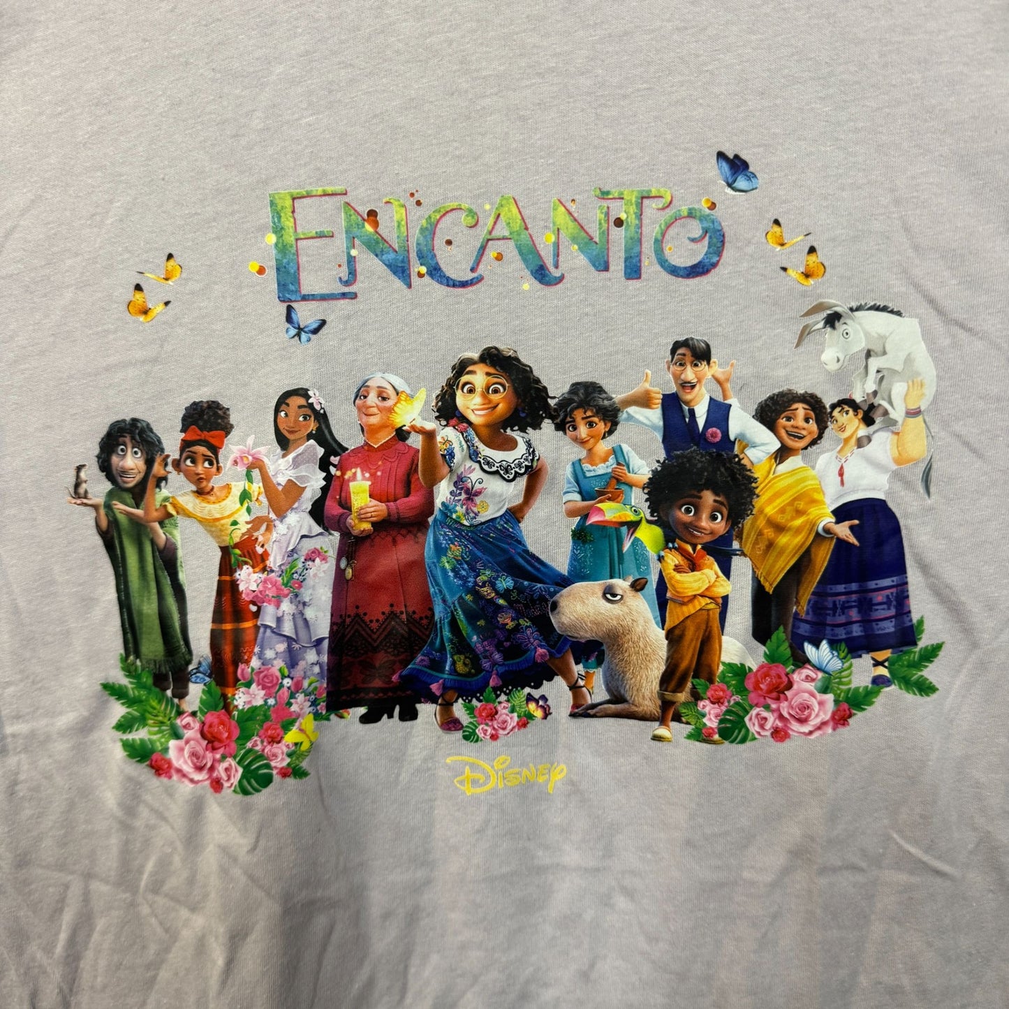 Disney's Encanto Familia Madrigal T-shirt size 2XL