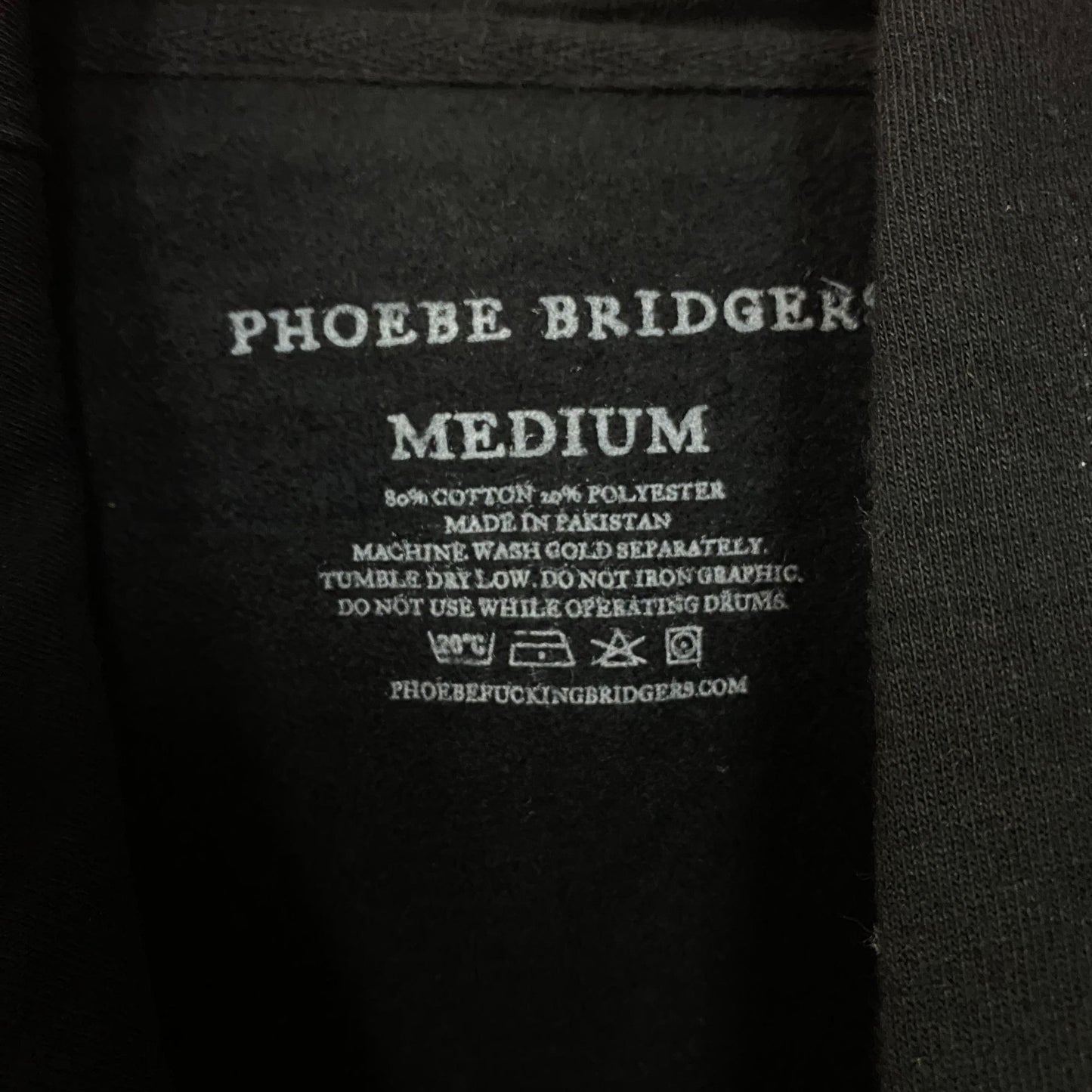 Phoebe Bridgers Diving Out Into The Sun hoodie size Medium