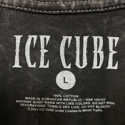Ice Cube Today Was A Good Day Mineral Wash Graphic Tee Large