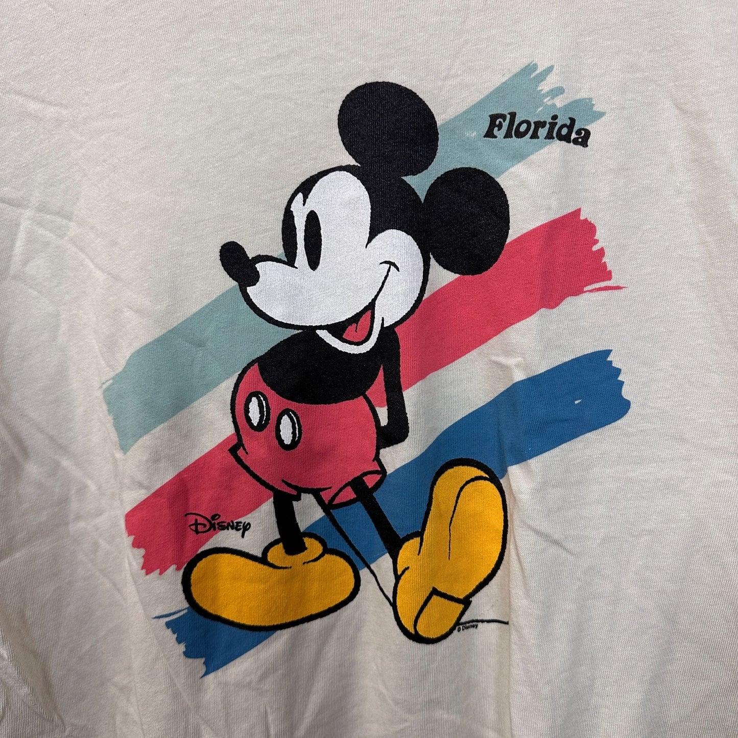 Mickey Mouse Florida Distressed Disney Women’s Top L