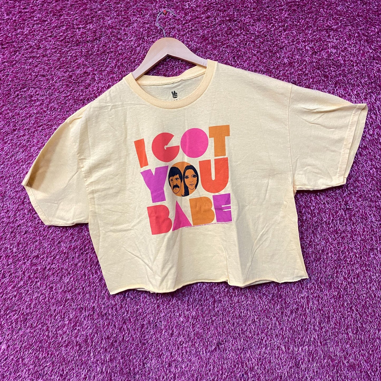 Sonny and Cher I Got You Babe Crop top Size Large