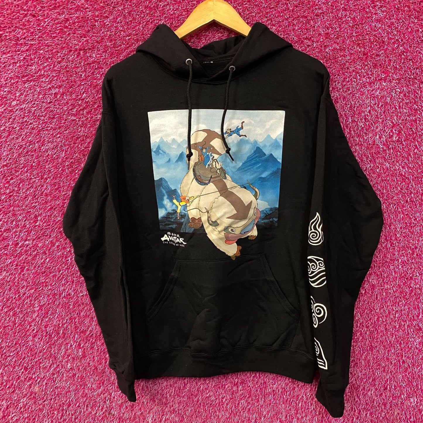 Avatar The Last Airbender Nickelodeon Hoodie size Medium
