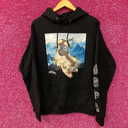 Avatar The Last Airbender Nickelodeon Hoodie size Medium