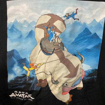Avatar The Last Airbender Nickelodeon Hoodie size Medium