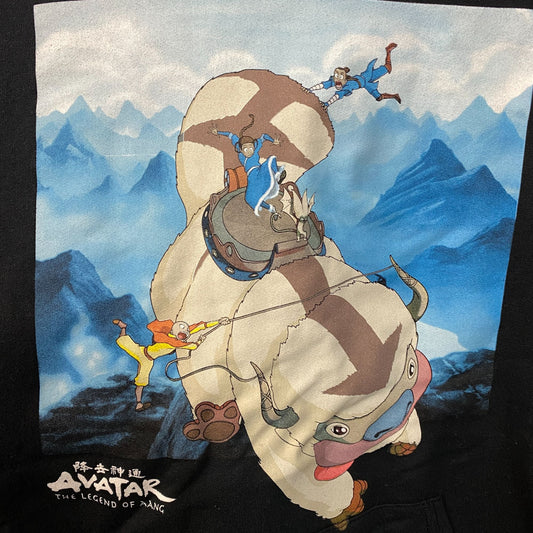 Avatar The Last Airbender Nickelodeon Hoodie size Medium