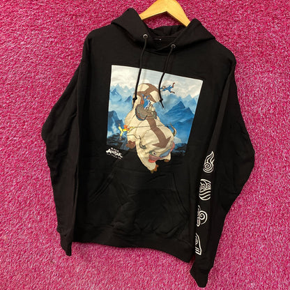 Avatar The Last Airbender Nickelodeon Hoodie size Medium