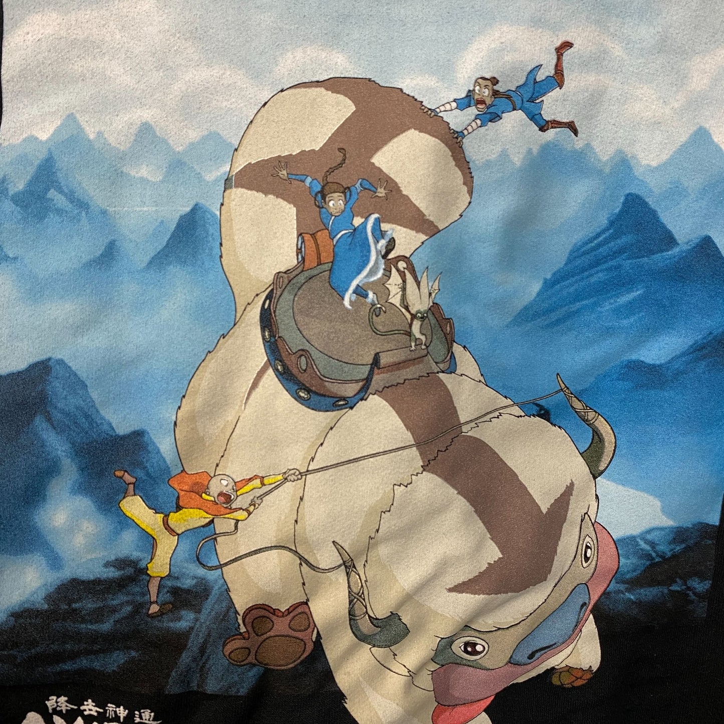 Avatar The Last Airbender Nickelodeon Hoodie size Medium