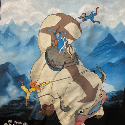 Avatar The Last Airbender Nickelodeon Hoodie size Medium