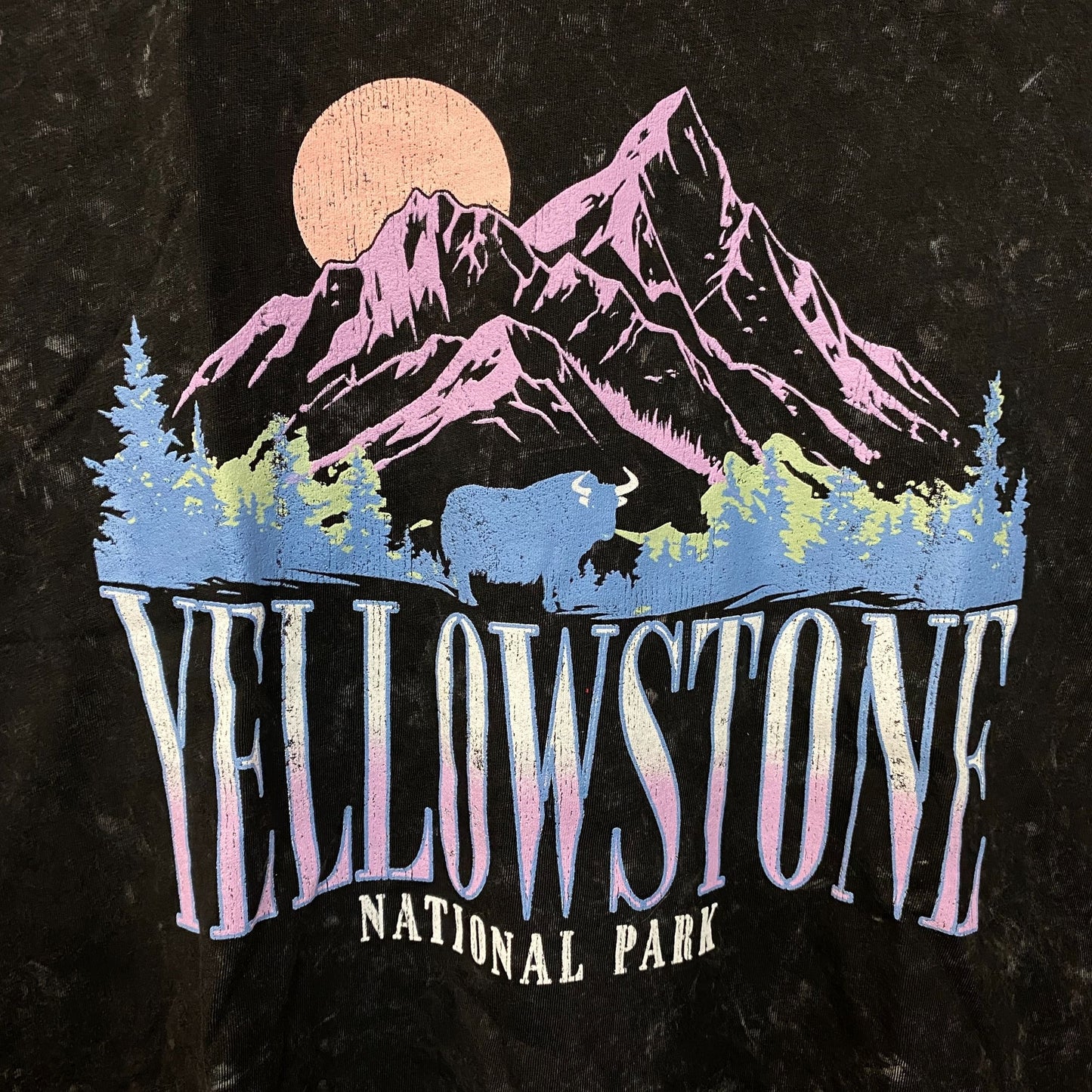 Pretty Rebel Yellowstone National Park Crop Graphic Tee Medium