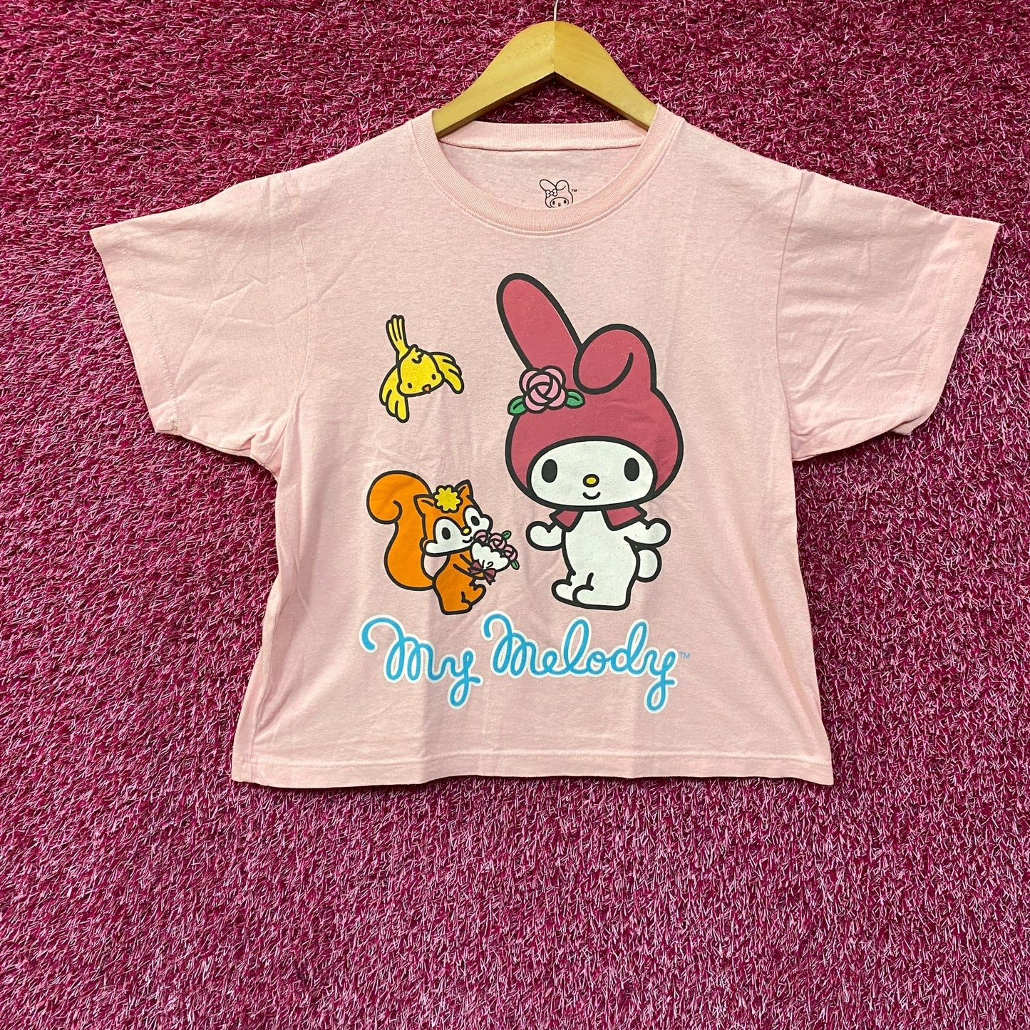 Sanrio My Melody Animal Friends Kawaii Crop Top Small