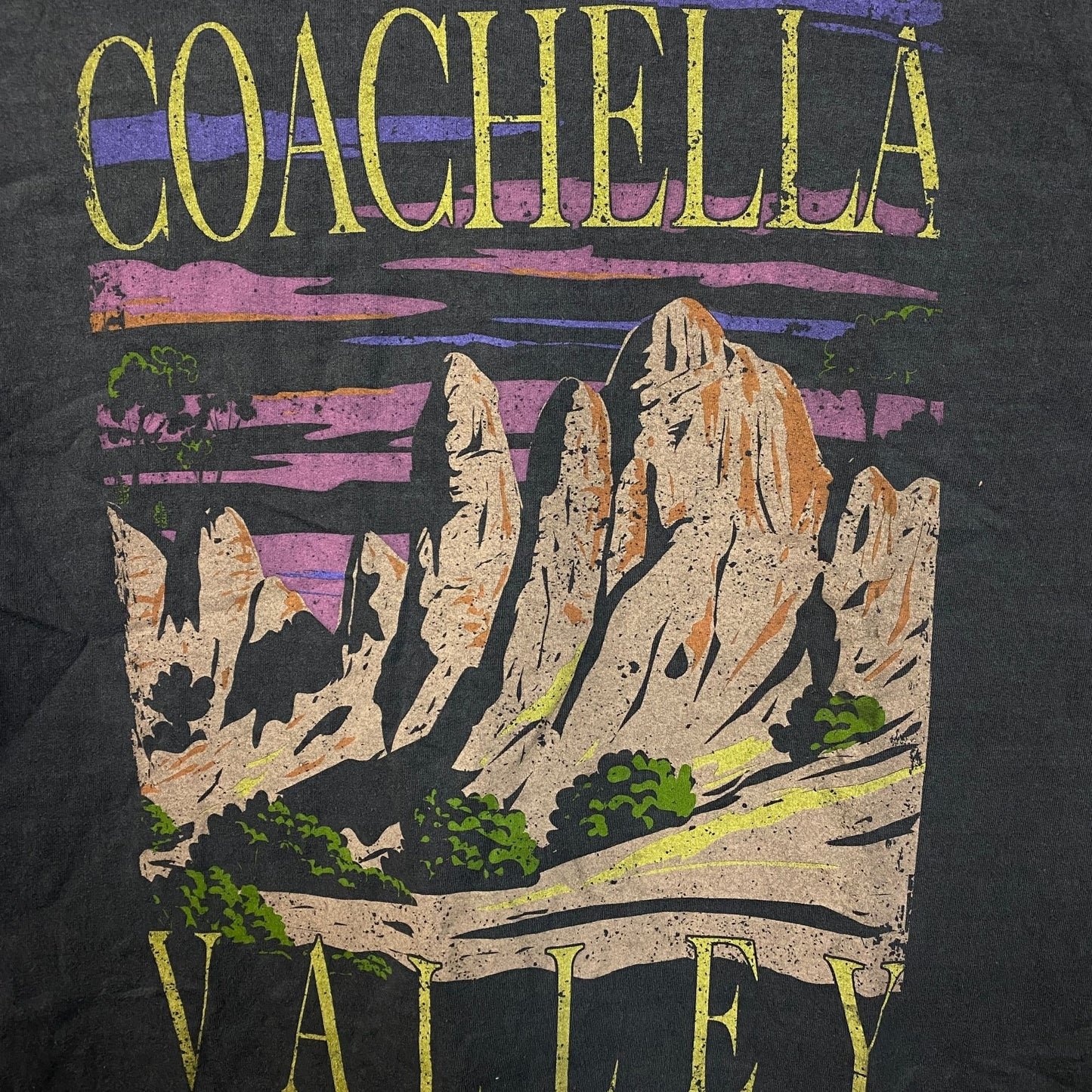 Coachella Valley Vintage-Style Graphic Design T-Shirt XL