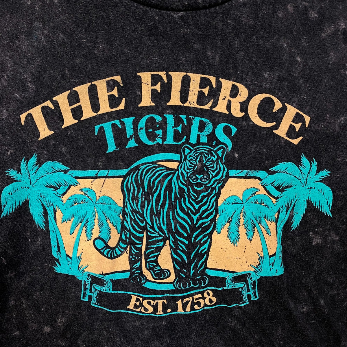 Rebellion One "The Fierce Tigers" Mineral Wash Cropped Graphic T-Shirt Medium