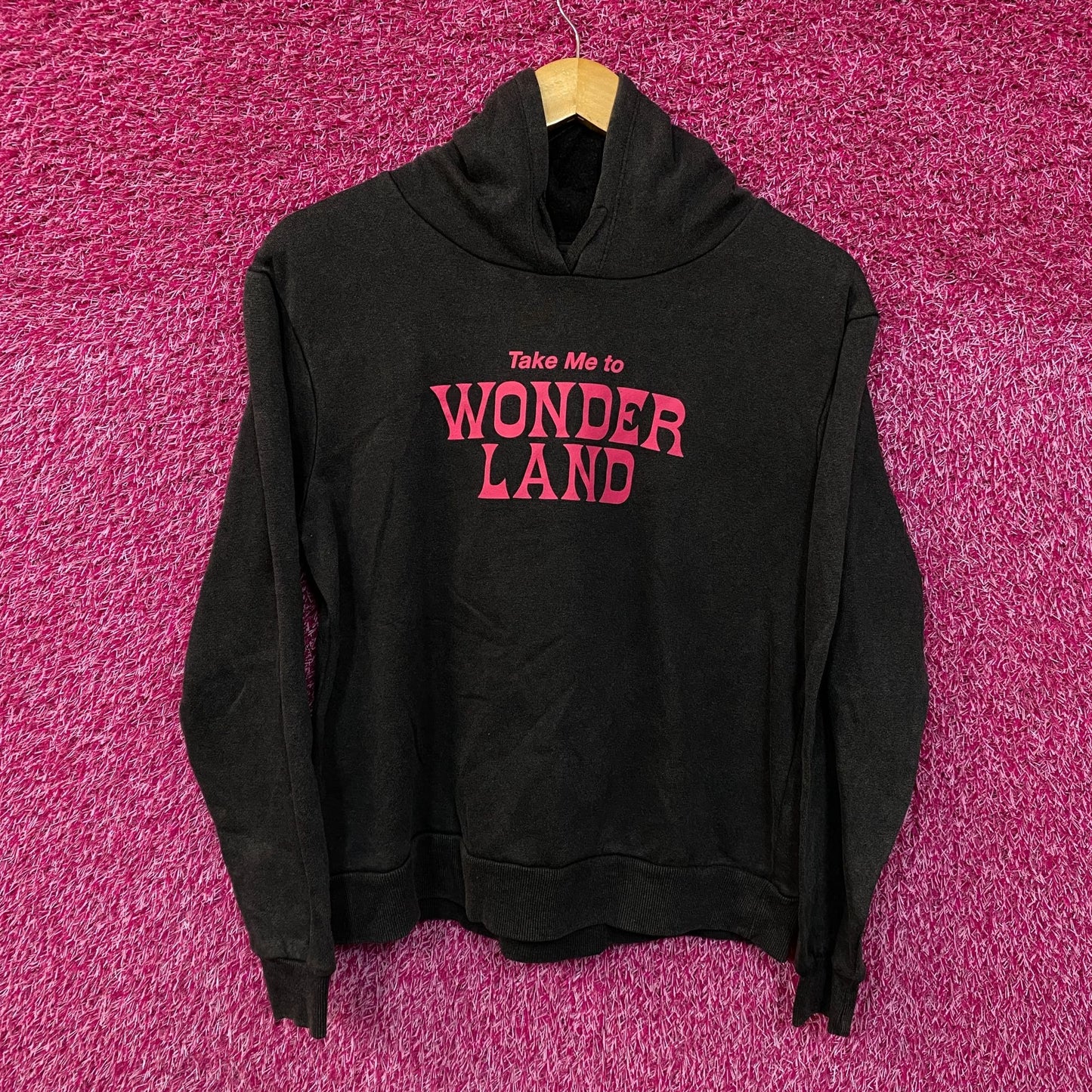 Take Me to Wonderland Down the Rabbit Hole Disney Hoodie S