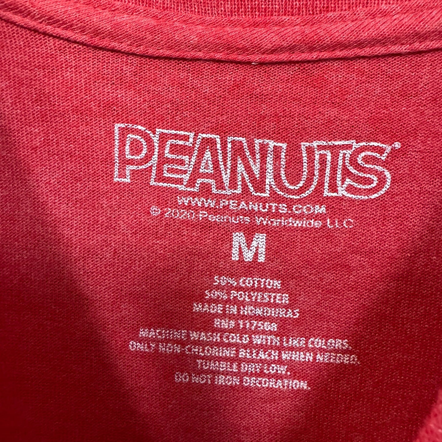 Santa Charlie Brown & Snoopy Peanuts Snowy Christmas Tee M