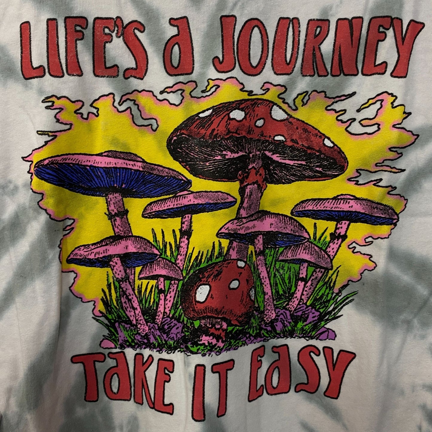 Life's a Journey Take it Easy Psychedelic Mushrooms Graphic T-Shirt XS