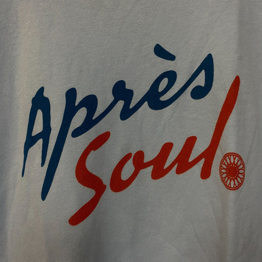 Junk Food Clothing Après Soul Graphic T-Shirt XS