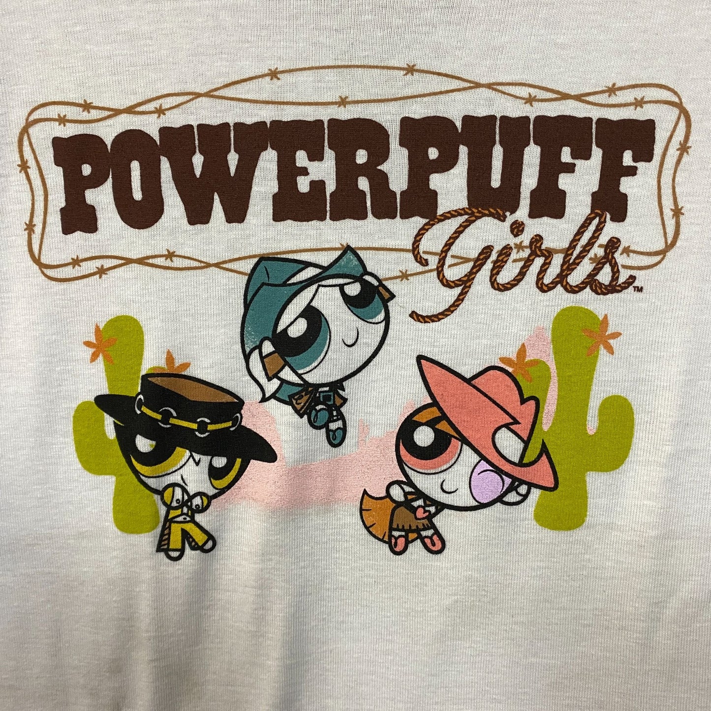 The Powerpuff Girls Western Cowgirls Crop Top 2XL