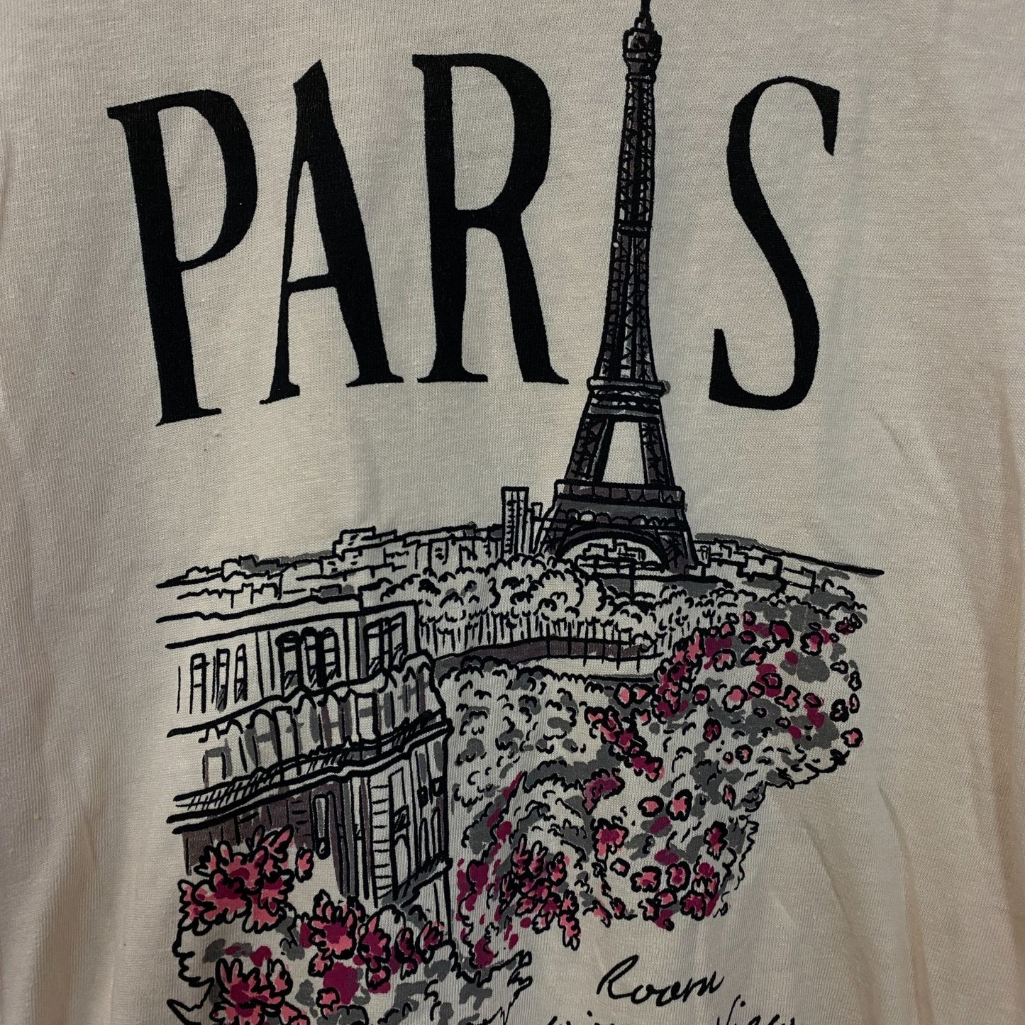 Junk Food Clothing Paris Room with a View Women's Original Tee Small