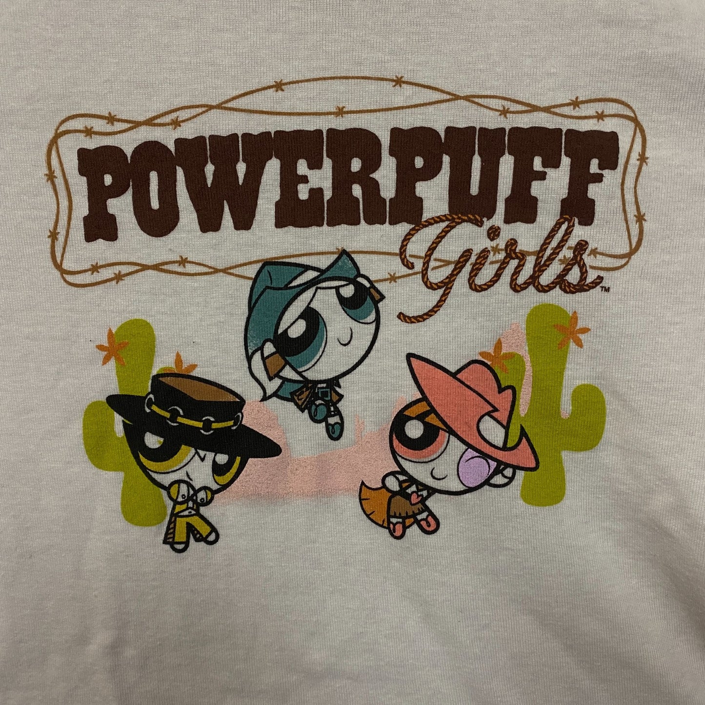 The Powerpuff Girls Western Cowgirls Graphic Women's Crop Top XL