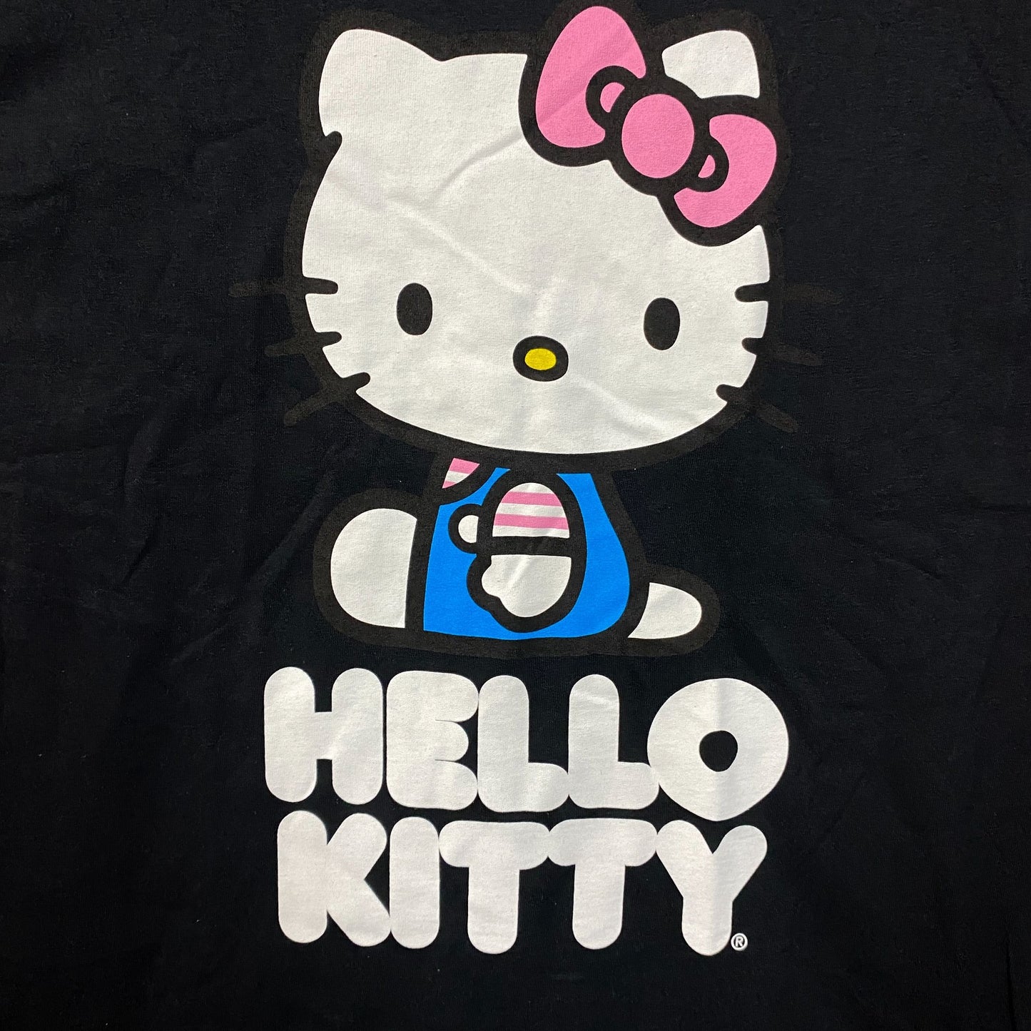 Sanrio Hello Kitty Kawaii Graphic Design T-Shirt Small