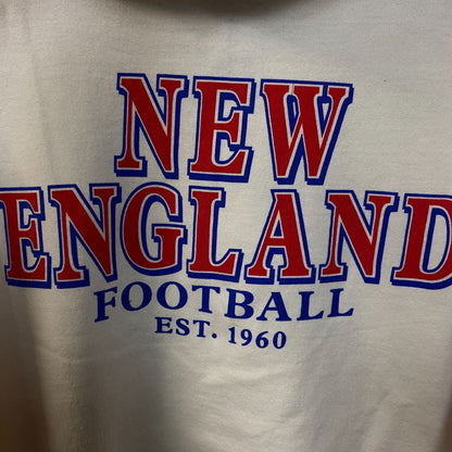 Junk Food New England Patriots Fandom Hoodie Large