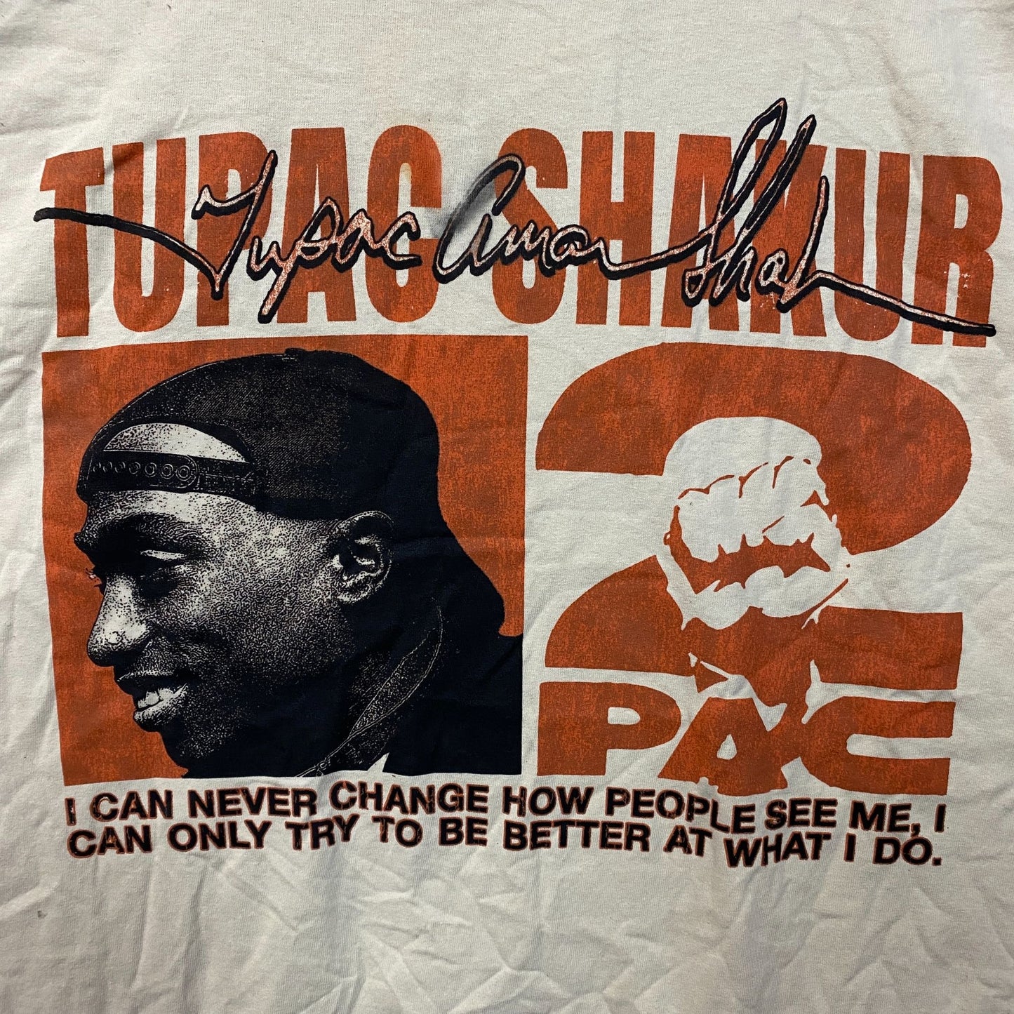 Tupac Never Change Heavyweight Graphic T-Shirt 2XL