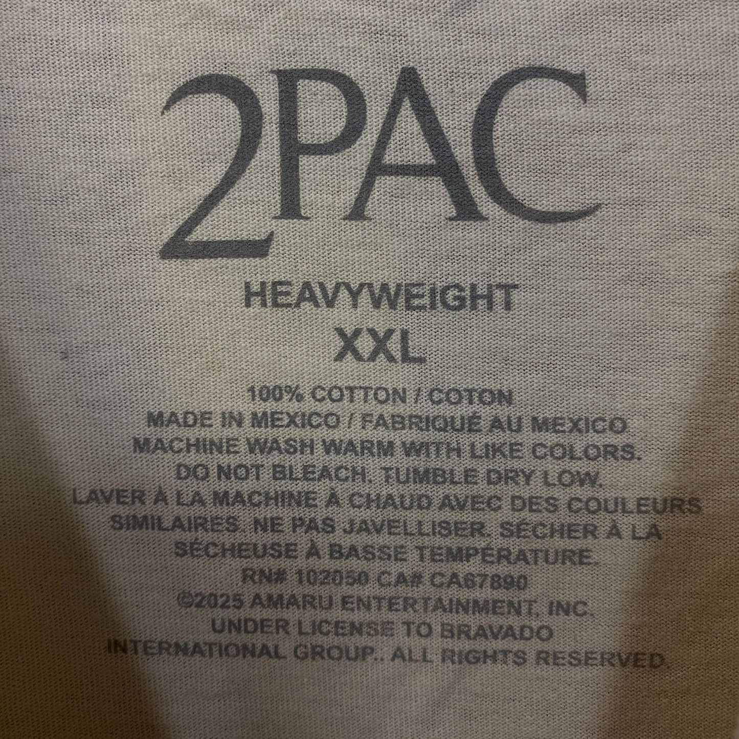 Tupac Never Change Heavyweight Graphic T-Shirt 2XL