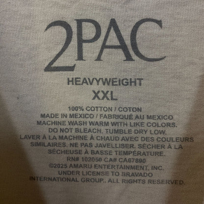 Tupac Never Change Heavyweight Graphic T-Shirt 2XL