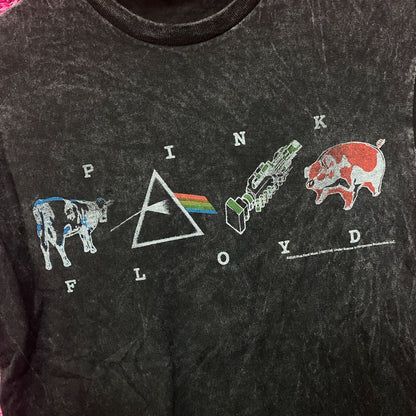 Pink Floyd Mineral Wash Logos Rock Tshirt size Small