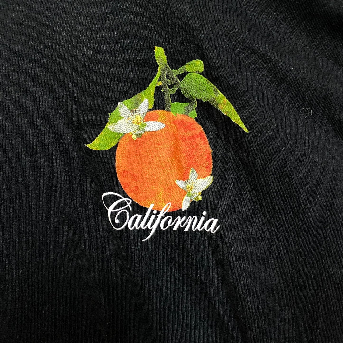California Oranges Premium Citrus Hand Picked Tree Ripened T-Shirt Large