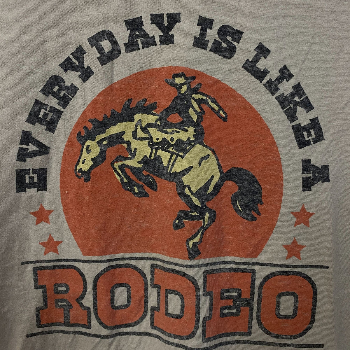 Junk Food Everyday is Like a Rodeo Graphic T-Shirt Medium