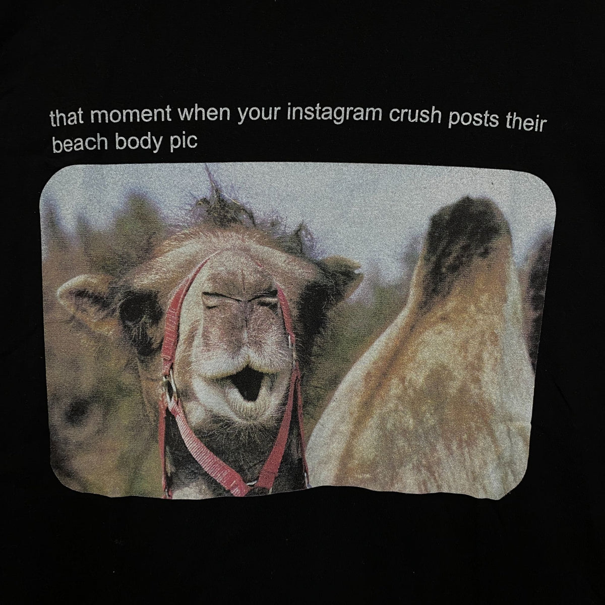 Camel Beach Body Meme Tshirt size Medium