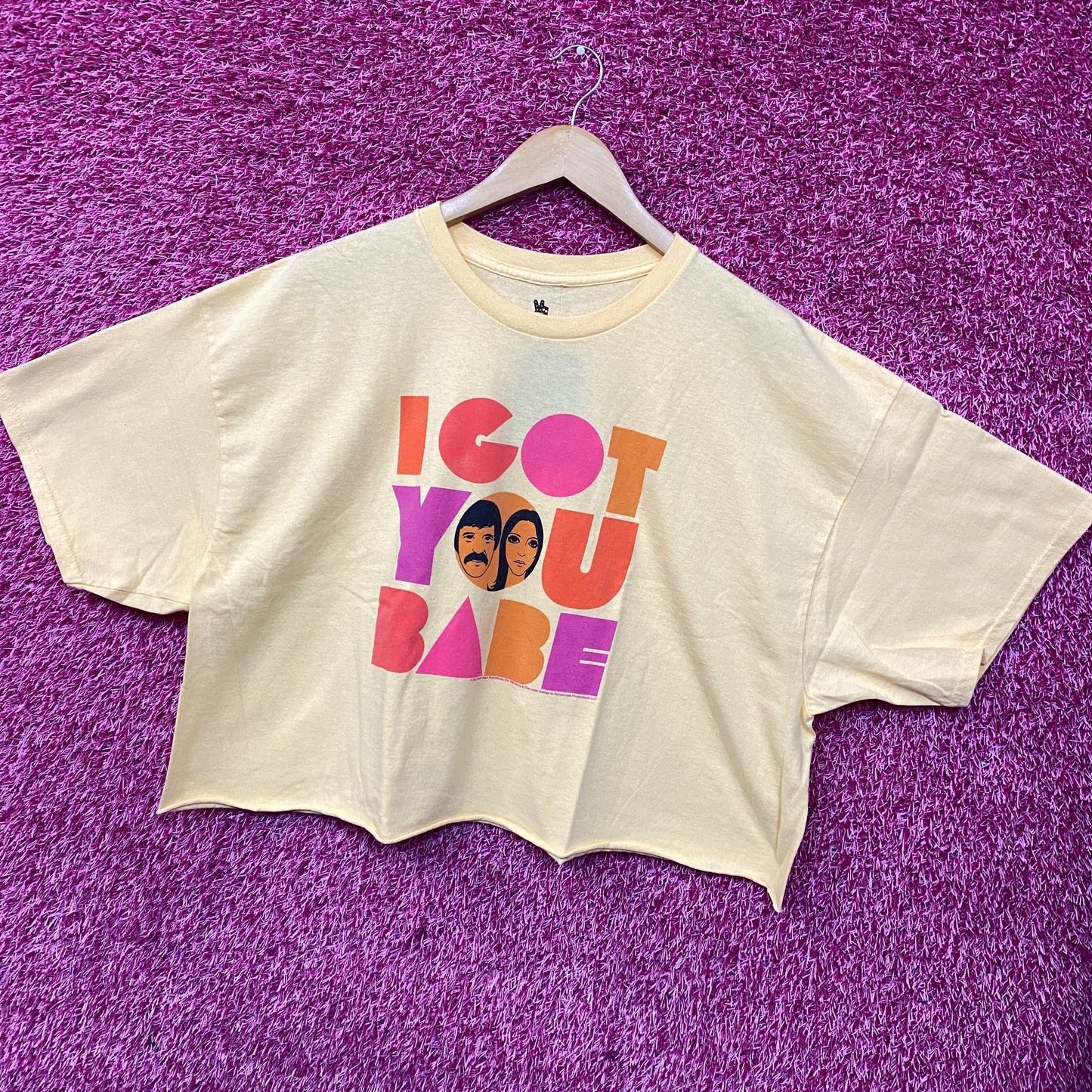 Sonny and Cher I Got You Babe Crop top Size XL